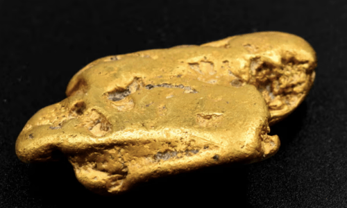 La grosse pépite d'or trouvée avec un détecteur de métaux